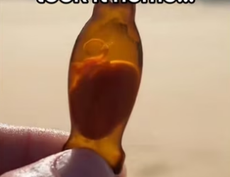 H2901004_She loves cuddles #wholesome #animals