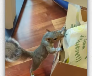 Bet you can do what do_part2