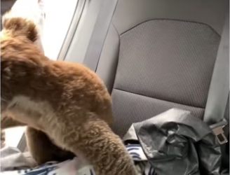 H3101002_tiktok_746216131_part2