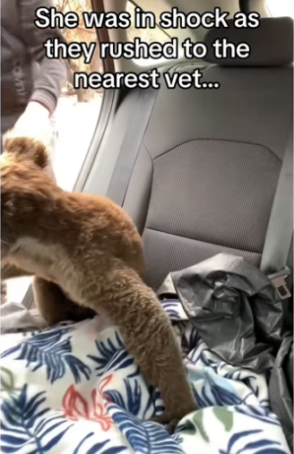 H3101002_tiktok_746216131_part2