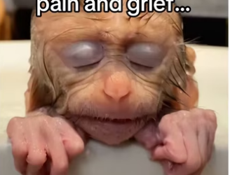 H3101003_tiktok_746201791_part2