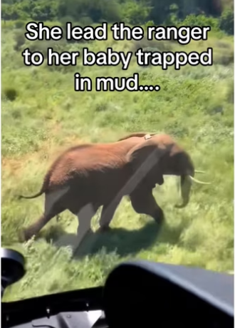 H3101003_tiktok_746503266_part2