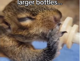 H3101005_tiktok_746253457_part2