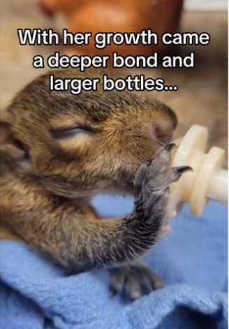 H3101005_tiktok_746253457_part2