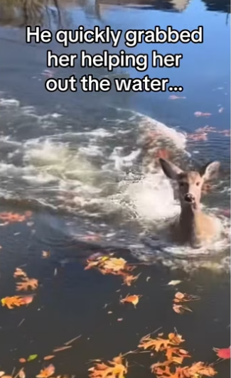 H3101001_tiktok_746779260_part2