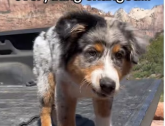 H3101002_tiktok_746758156_part2