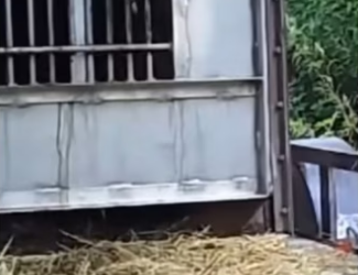 H3101003_tiktok_746558227_part2