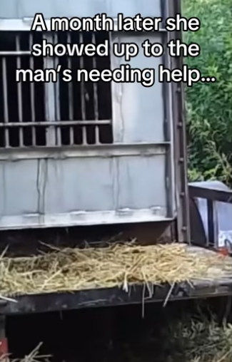 H3101003_tiktok_746558227_part2