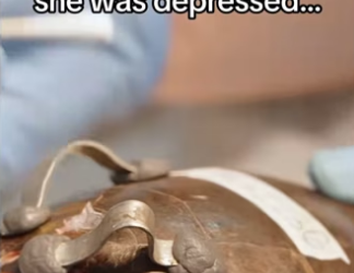 H3101004_tiktok_746553026_part2