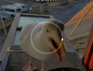 H3101002_tiktok_746961589_part2