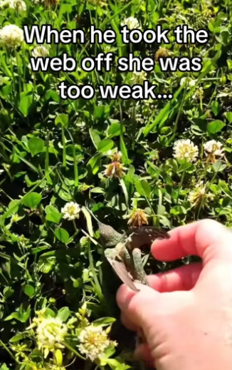 H3101003_tiktok_746837445_part2