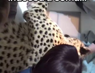 H3101004_tiktok_746813236_part2