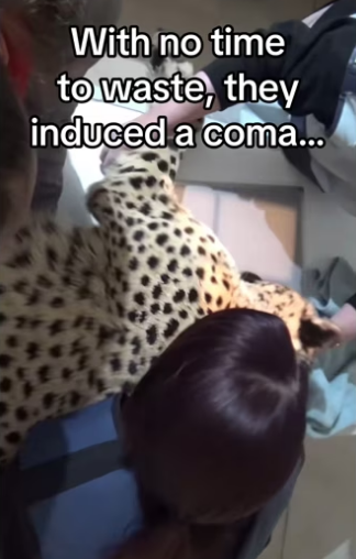 H3101004_tiktok_746813236_part2