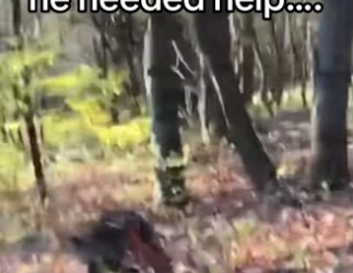 H3101002_tiktok_747066570_part2