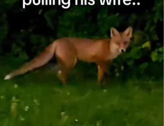 H3101003_tiktok_747059248_part2