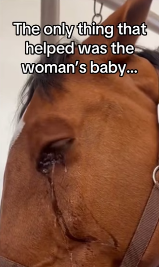 H3101005_tiktok_746988444_part2