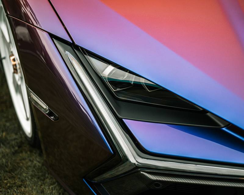 H0502002 Lonely Puppy Followed Me Quietly As If