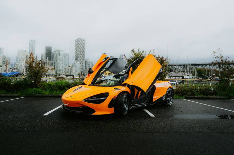 H0502003 Three tiny puppies left in cemetery trembling,