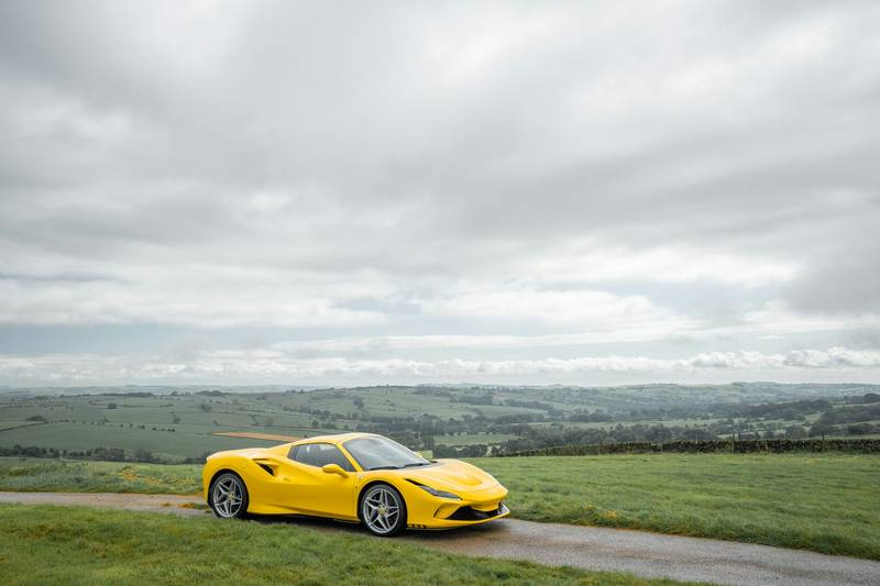 H0502004 Chance to Old Dog Used His Last Stre