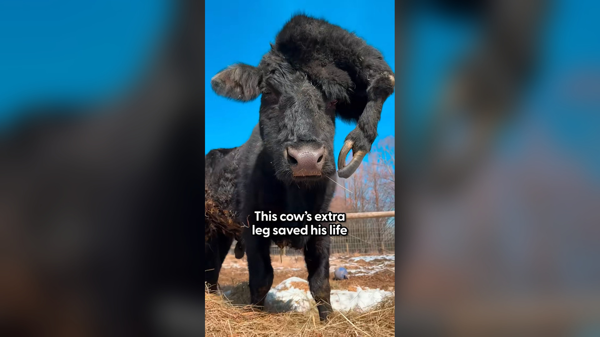 H0804009_he has no clue he any different