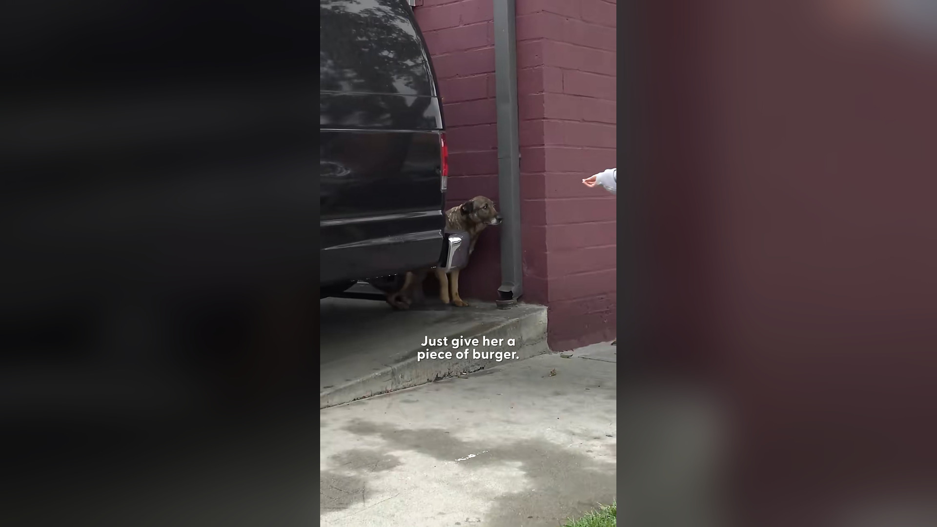 H0804014_She had cutest reaction when her rescuers came