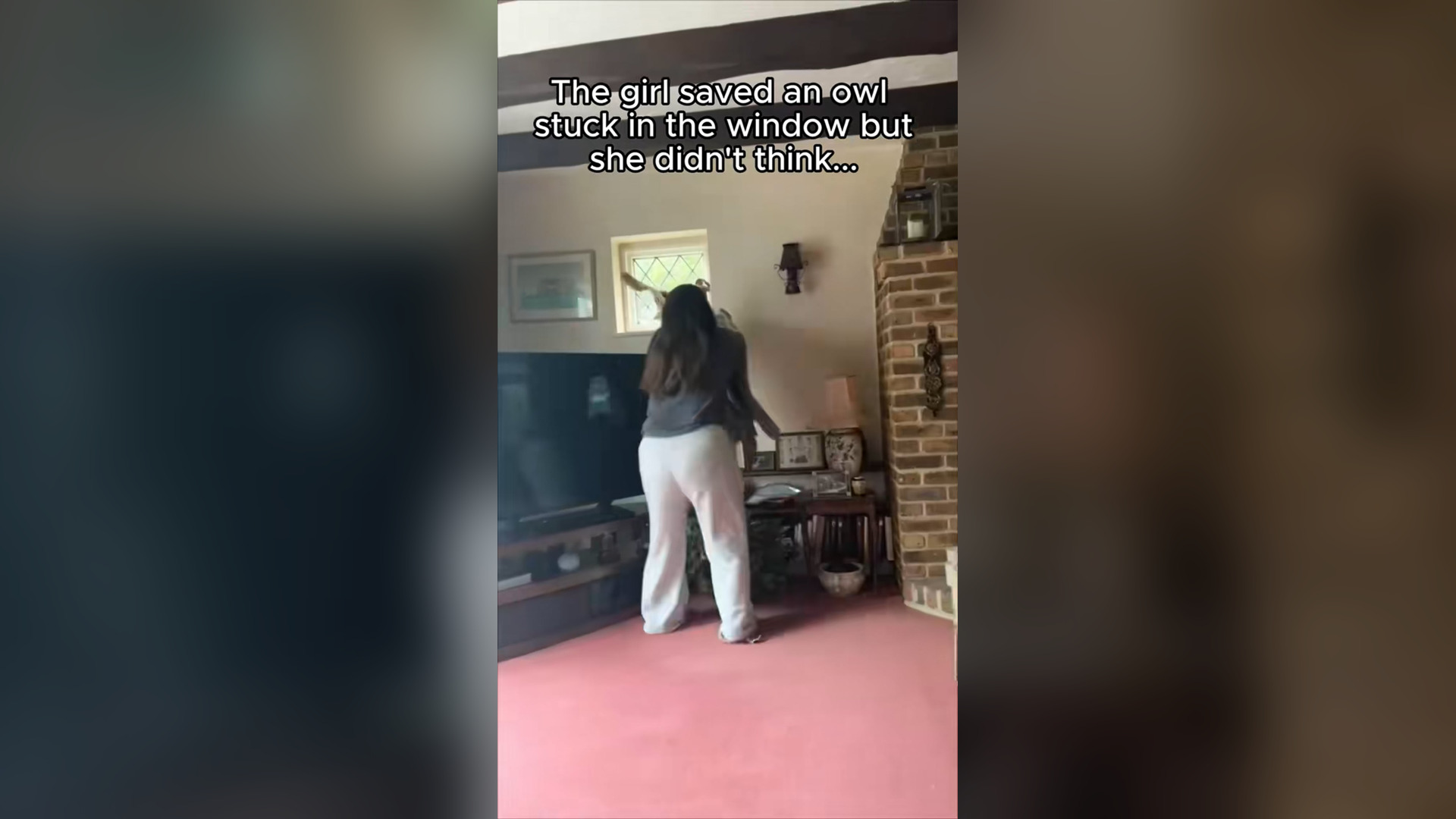 H0804023_girl saved an owl unexpected happened