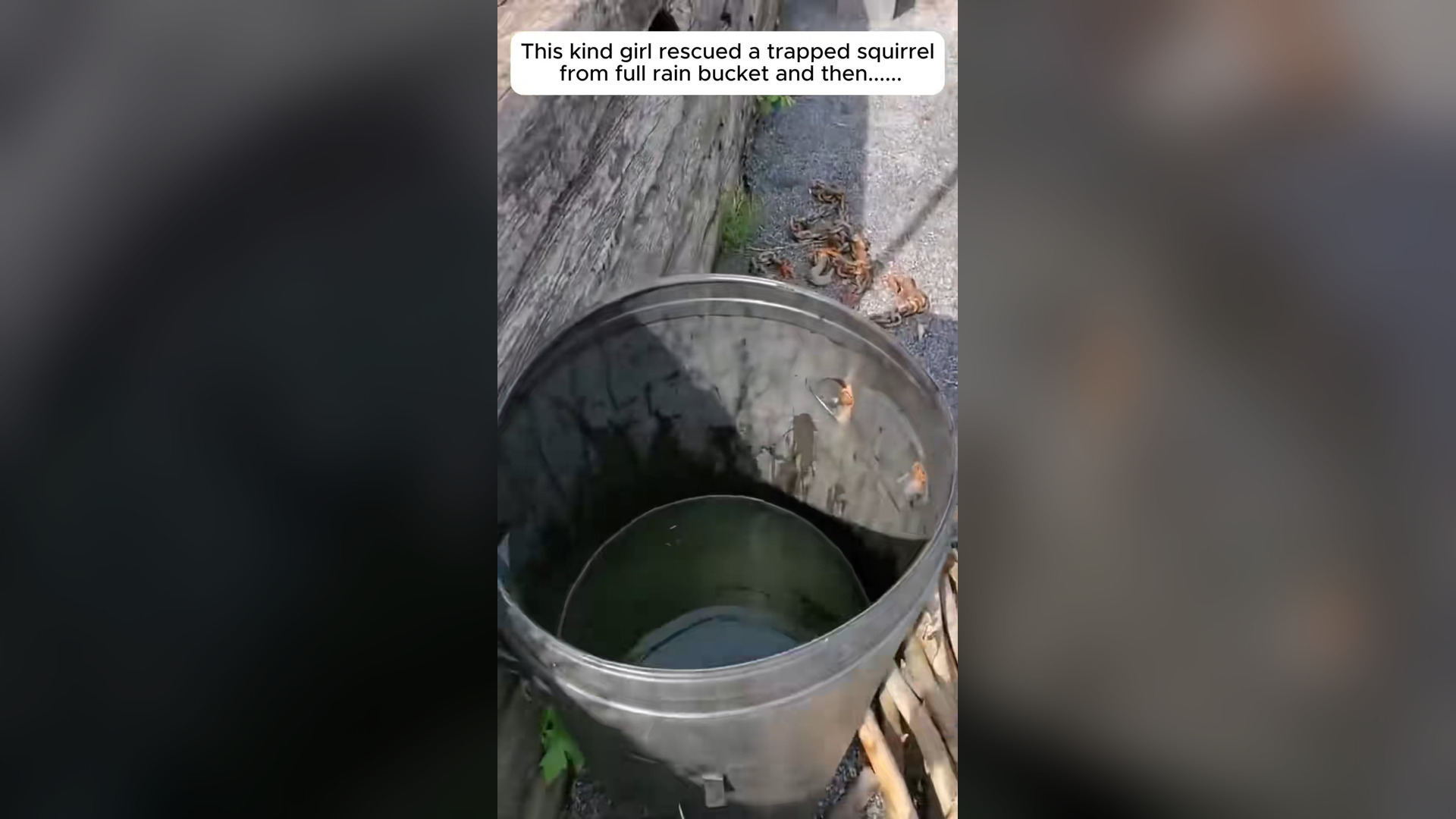 H0804031_kind girl rescued trapped squirrel ful