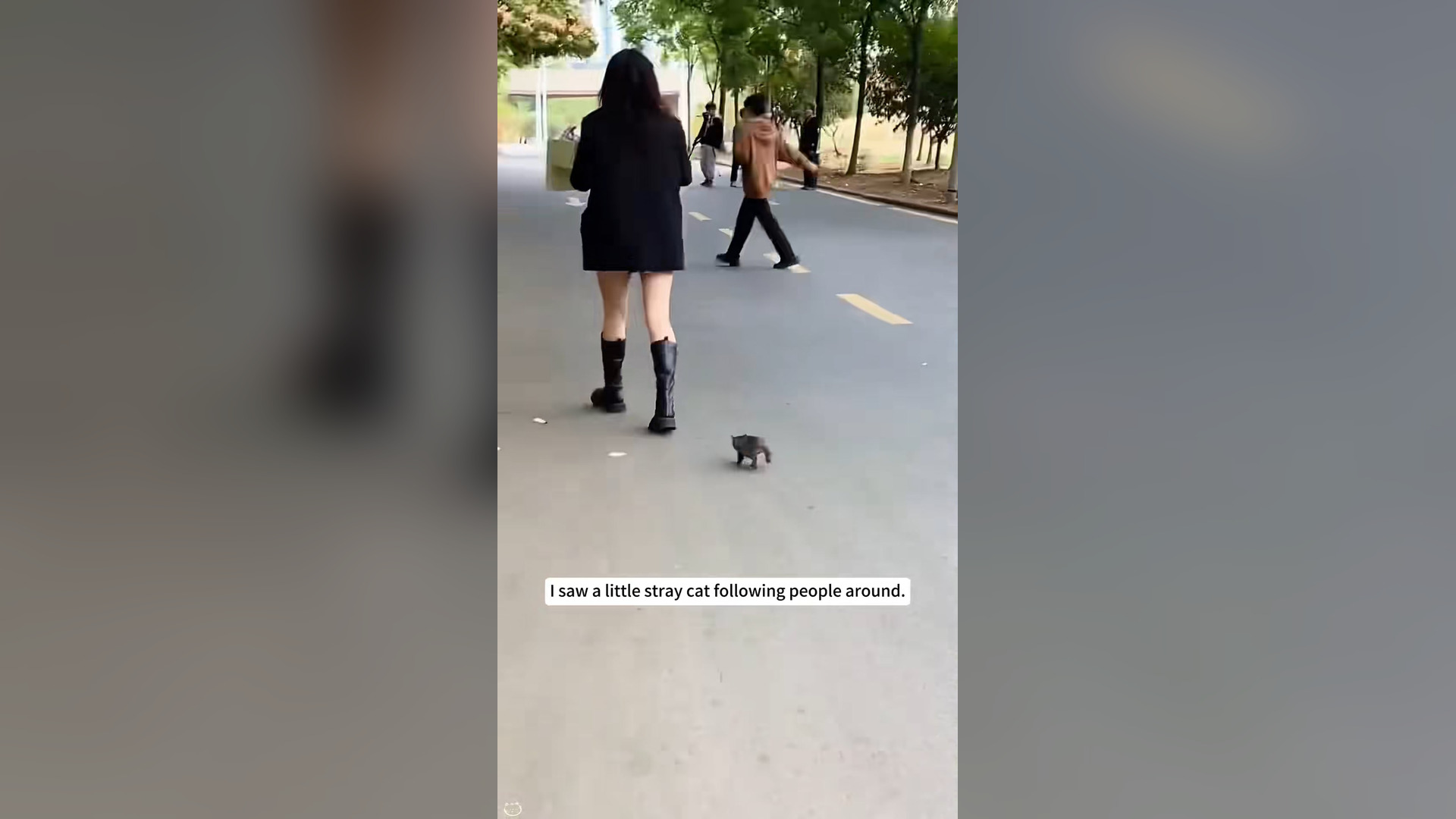 H0804033_Sometimes animals know exactly who has kind hear