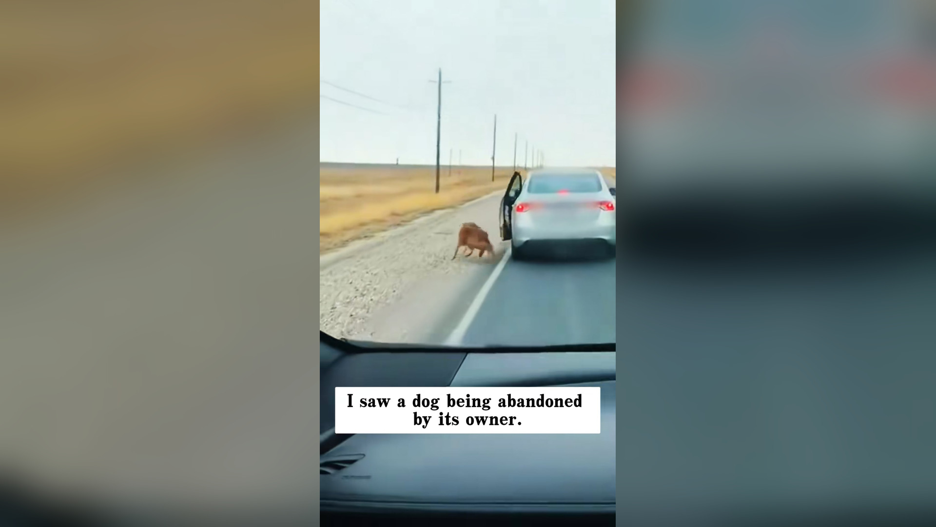 H0804041_Loyalty is gift they didn deserve glad