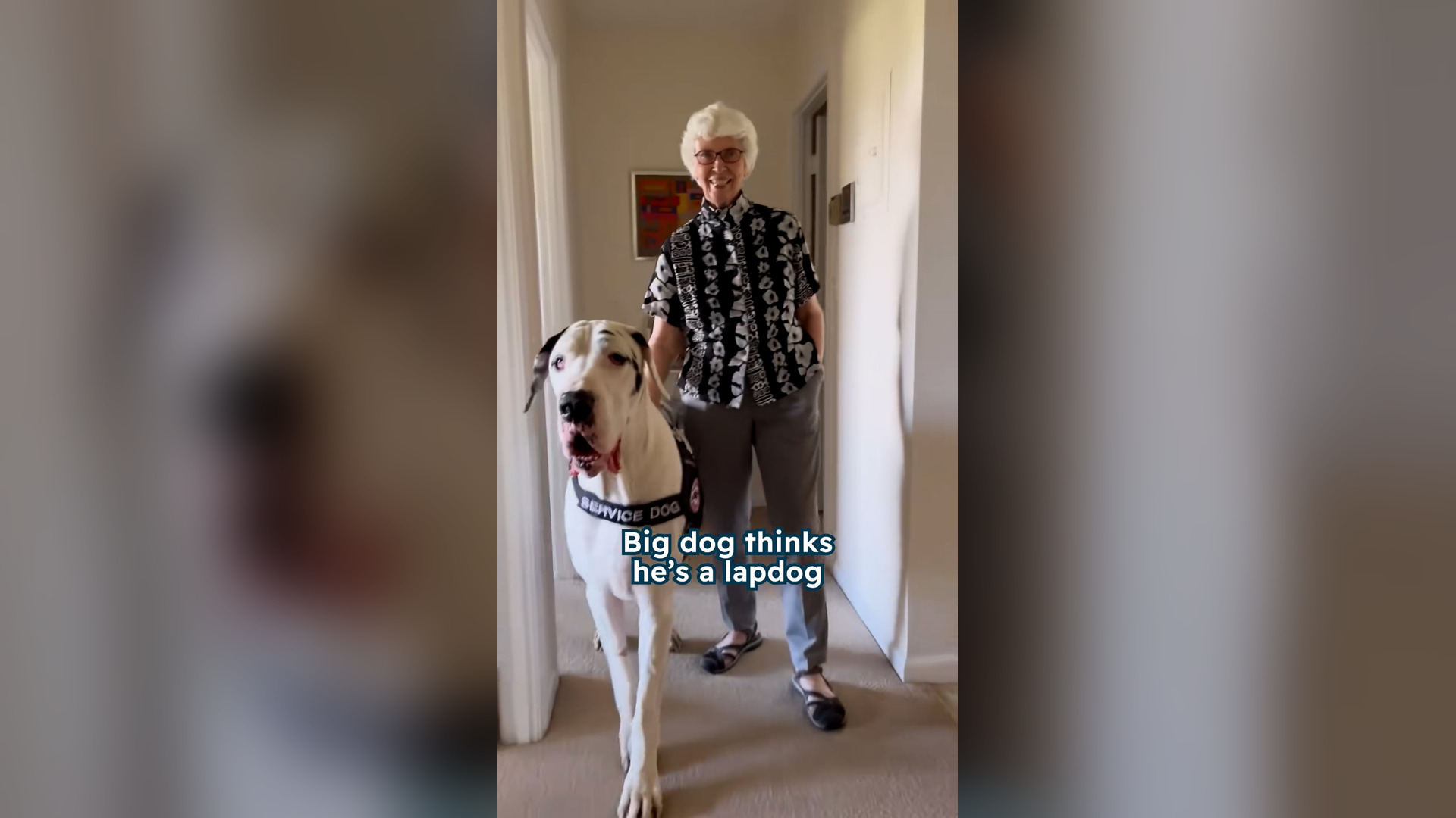 H1104001_Everyone expects him to be scary until he walks