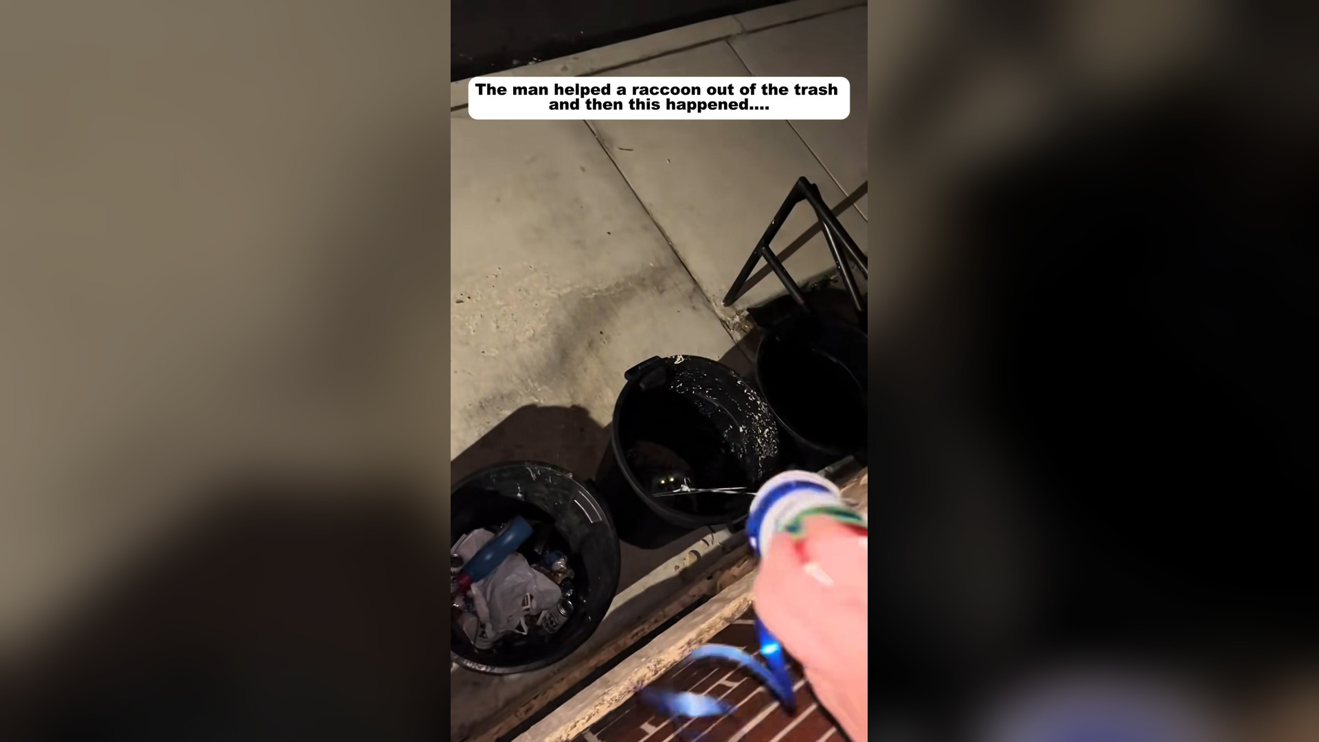 H2805031_man helped a raccoon out of trash then happened