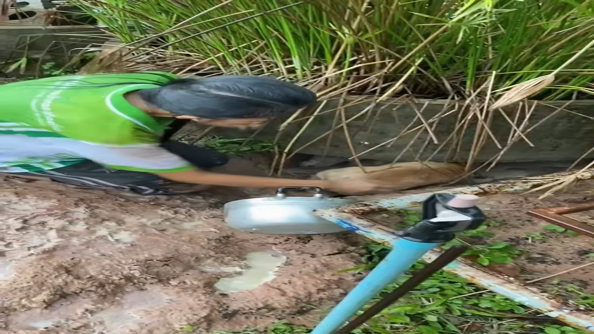 Parte 2 : H1406022_Puppies Drown in Raining Flood Rescued Rescued by Kind hearted Woman