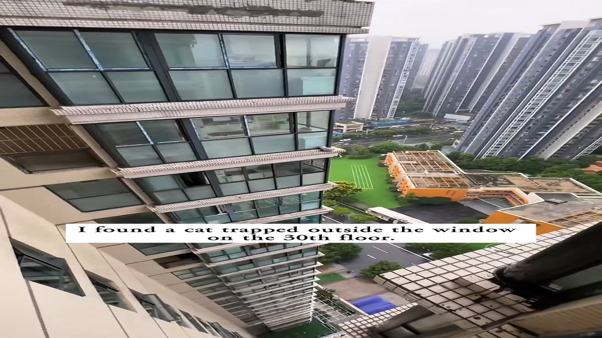 Full Video : H1506015_I found a cat trapped outside window on 30th floor, then