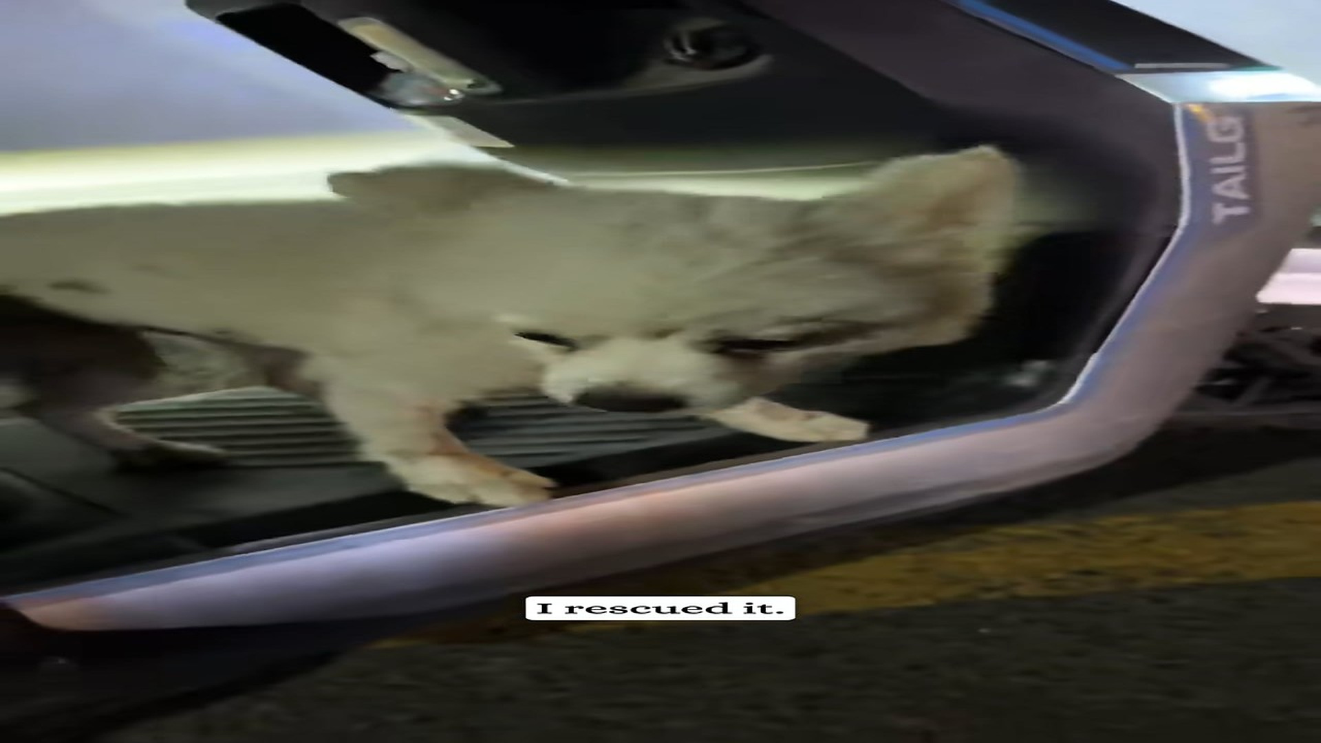 Full Video : H1706007_TikTok #7572617623943384350_part2