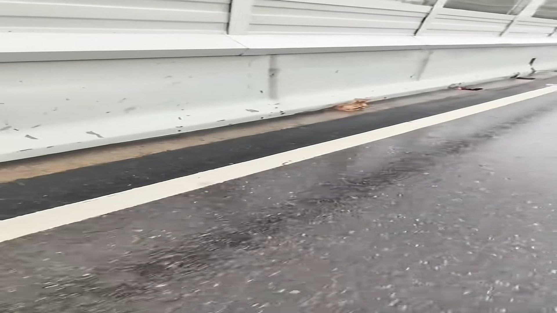 Full Video : H1706031_Stray kitten rescued #animal #rescueanimals #animalsoftiktok #rescuec