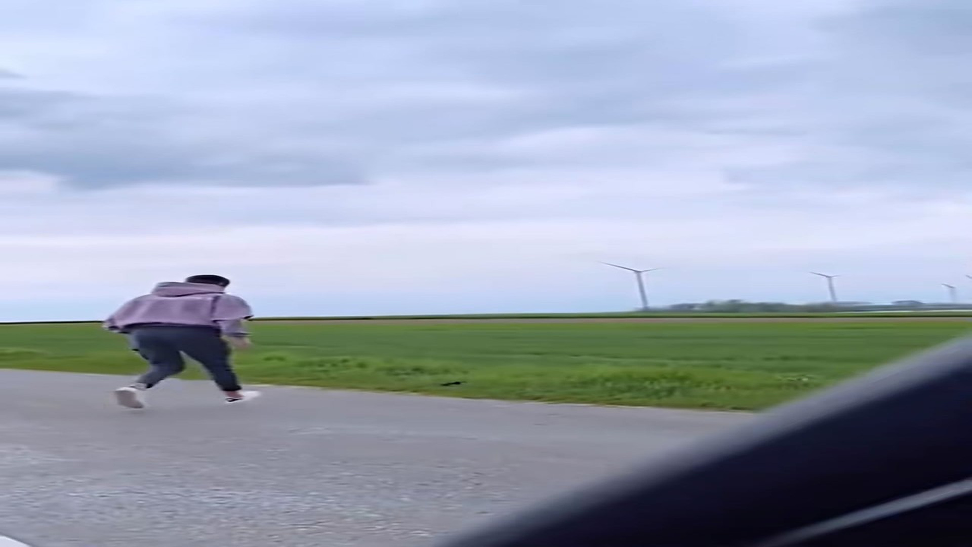 Full Video : H1906034_Man found a lost cat saved it raised it #animal #rescueanimals #a