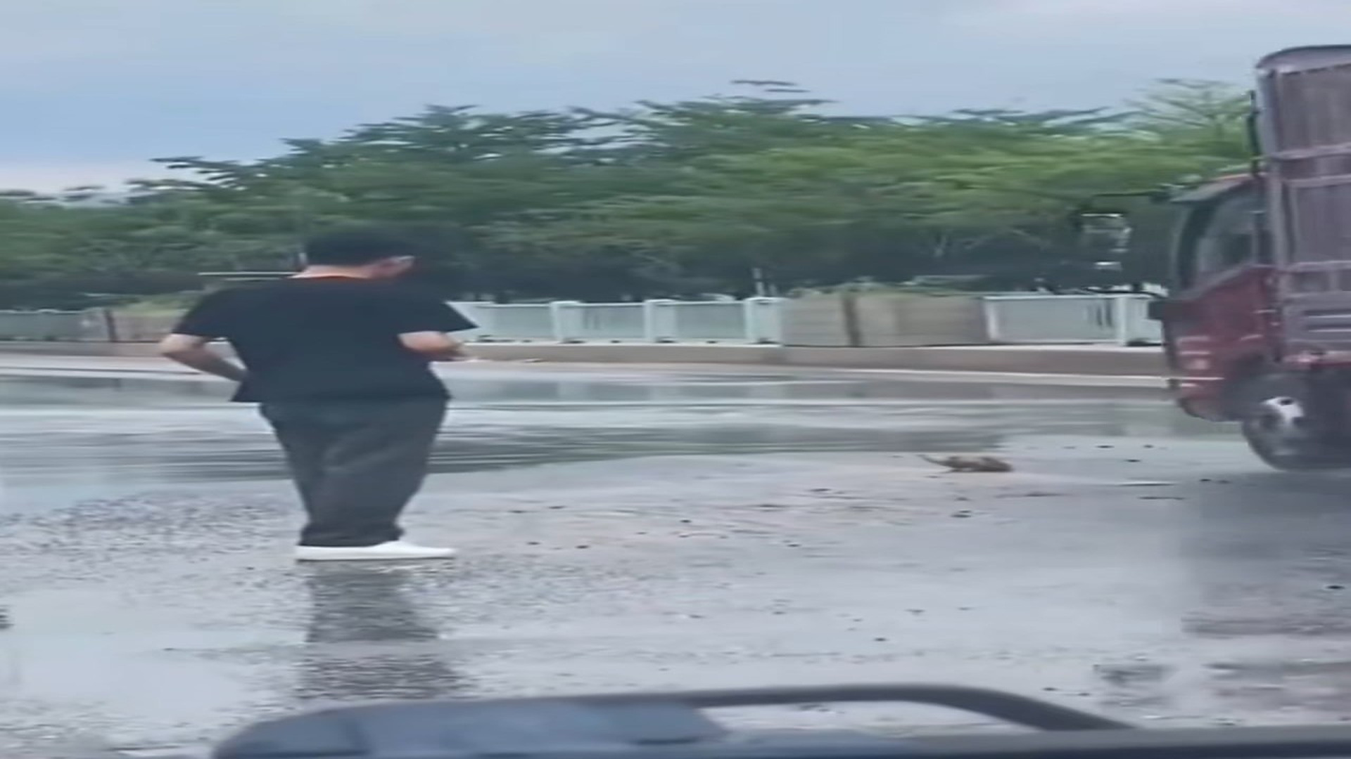 Full Video : H2006013_Kitten wandering on street was saved by a man #animal #rescueanim