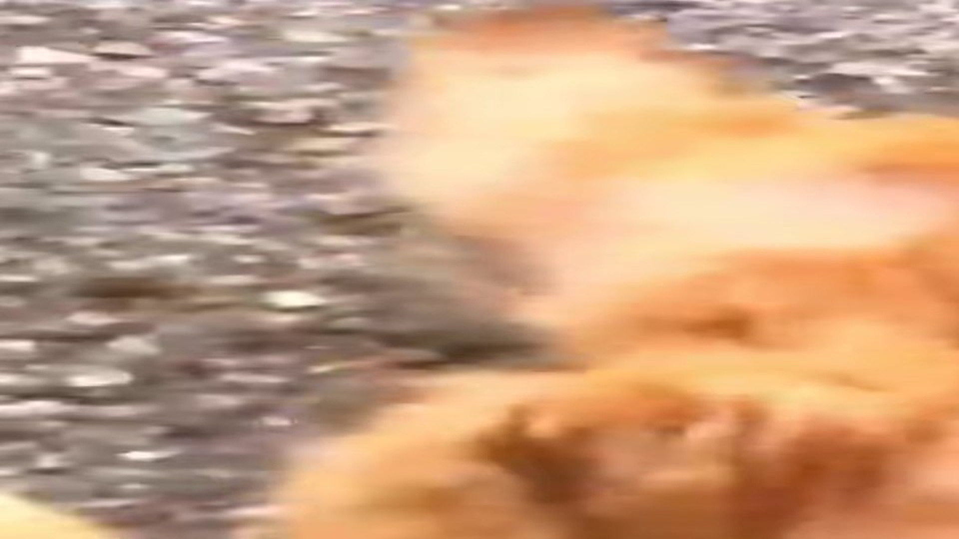 Full Video : H2106001_kitten was trying to crawl luckily it was saved #animal #rescuean