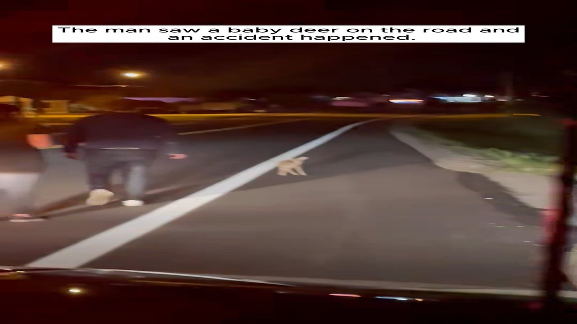 Full Video : H2306042_Man saves a baby deer on road, unexpectedly it becomes a pet #res