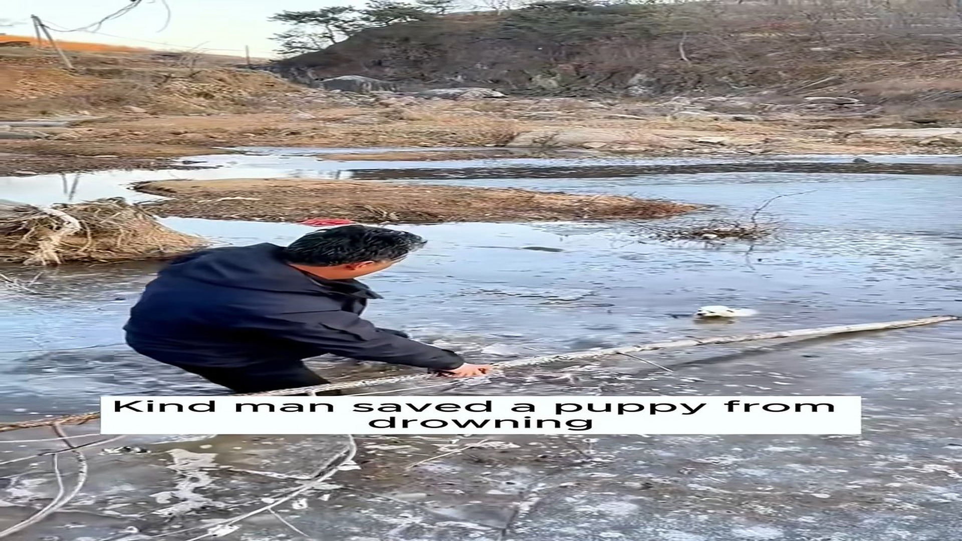 Full Video : H0207020_Rescue a puppy #animal #animalsoftiktok #rescueanimals #rescue #rescu (4)