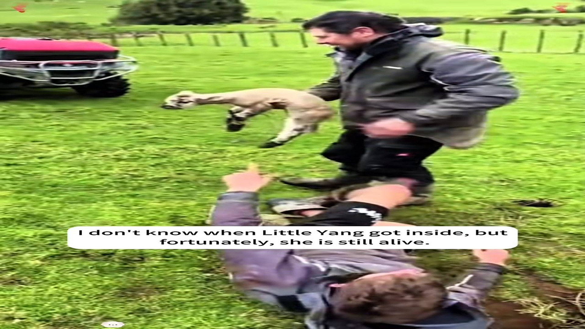 Part 2 : H1107008_We rescued a little lamb was trappedinside a hole, then...#r_part2
