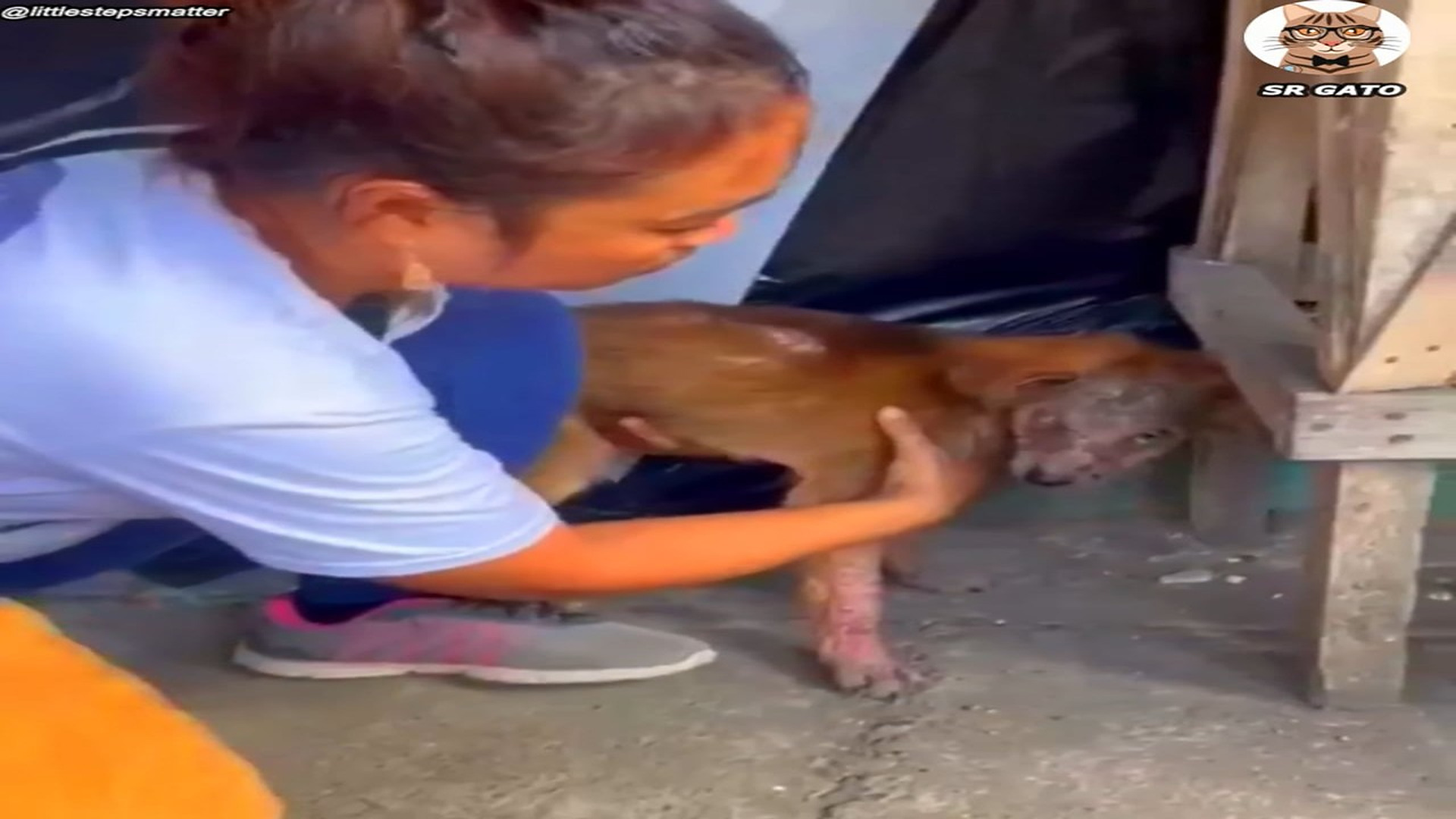 Full Video : H1607030_NADIE Quería Tocarla Historia de Gracy