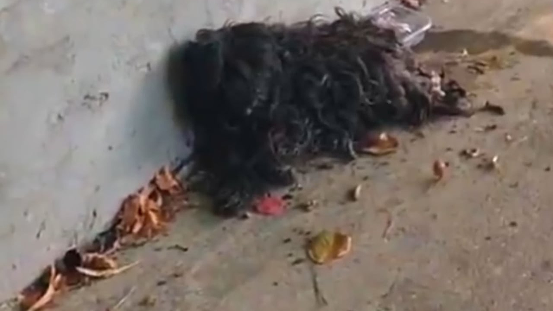 Full Video : H1707027_Su pelo creció tanto que n0 puede ver y paso esto
