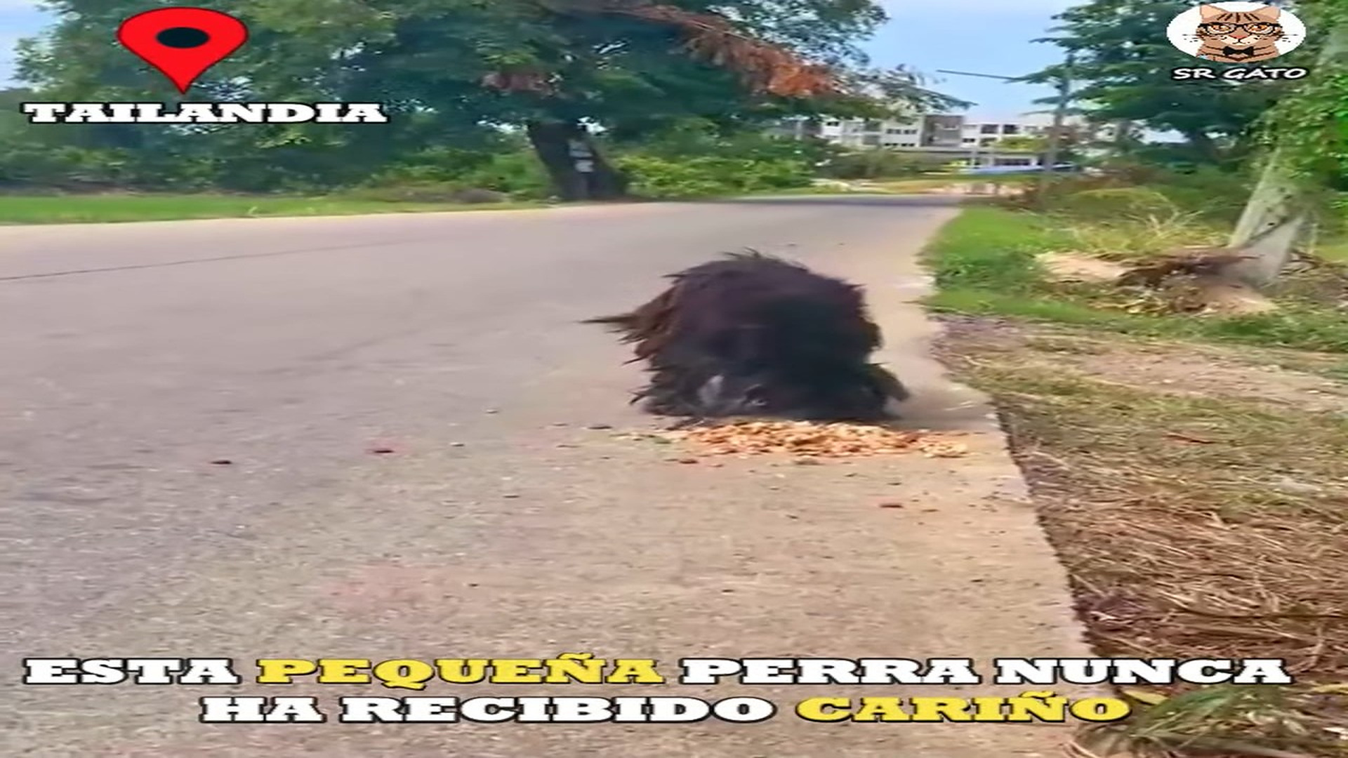 Full Video : H1707024_Nunca recibió cariño ni amor y paso esto
