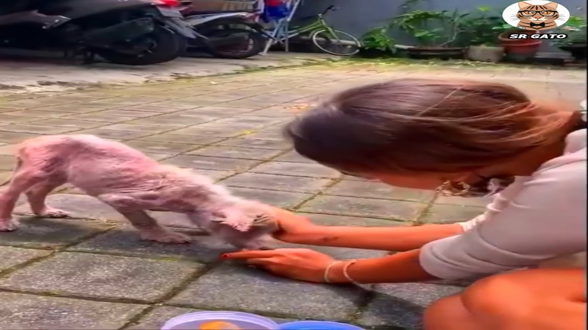 Full Video : H1707013_La Hermosa transformación de Teo