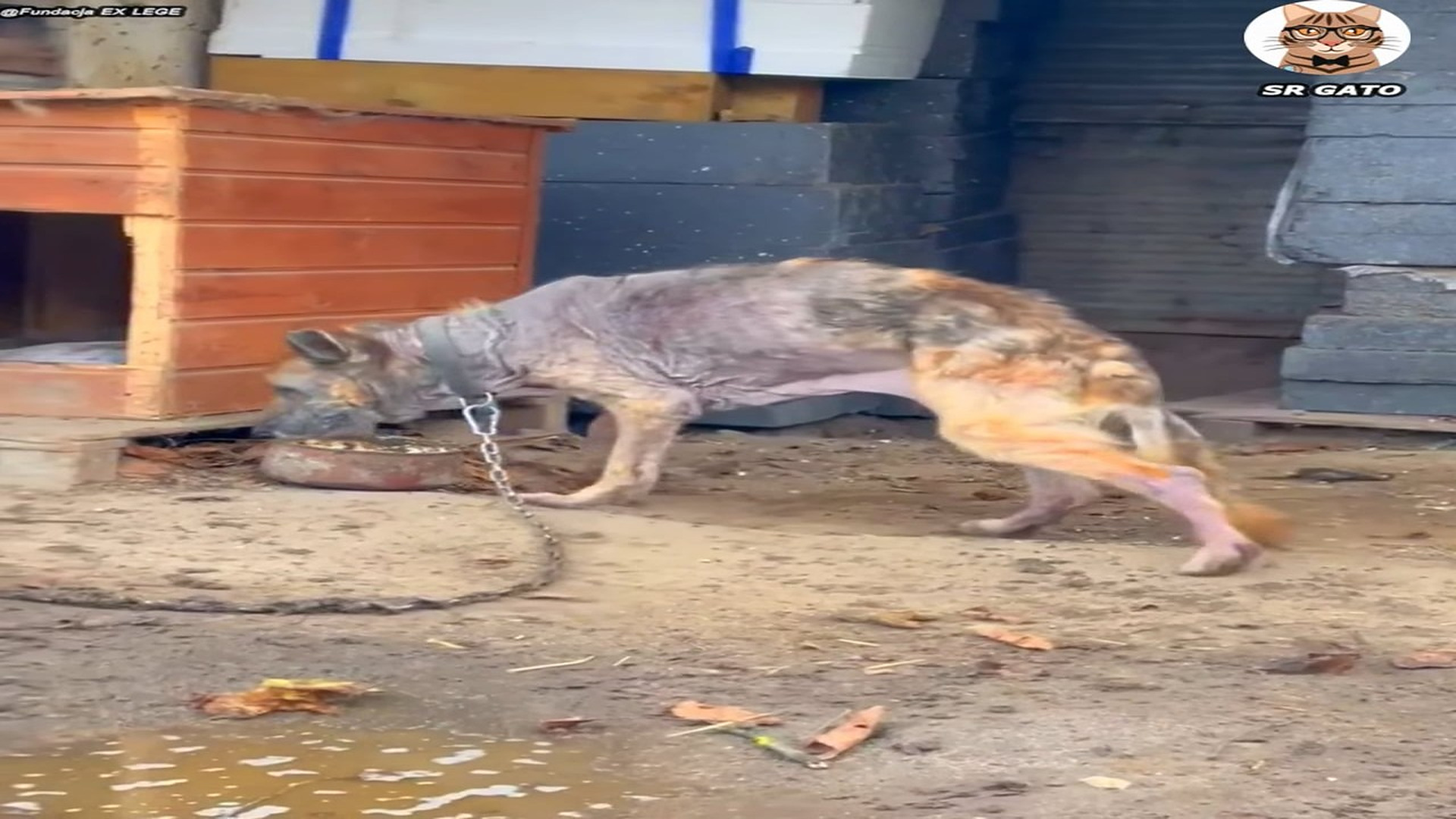 Full Video : H1707014_El lugar adecuado hace la diferencia