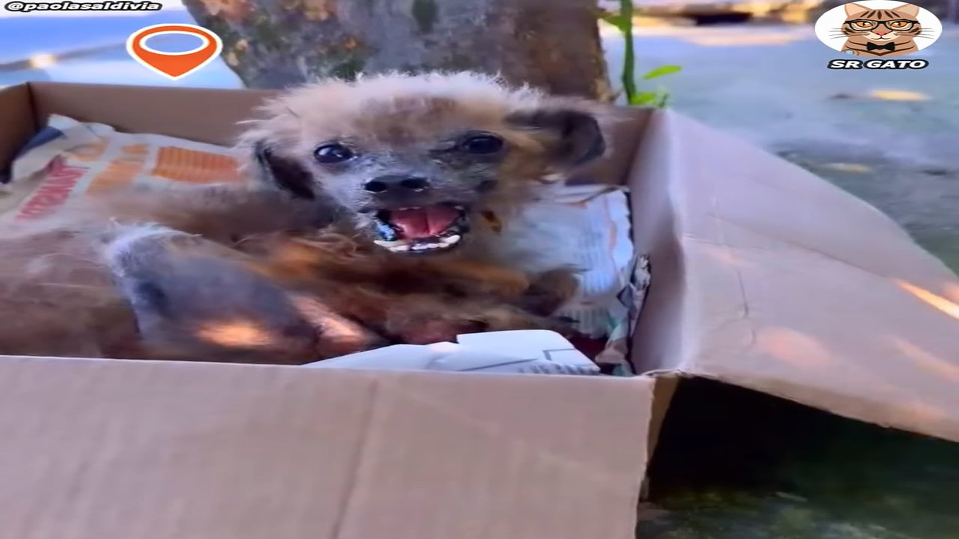 Full Video : H1707002_En esta CAJA Esperaba Algo de AMOR