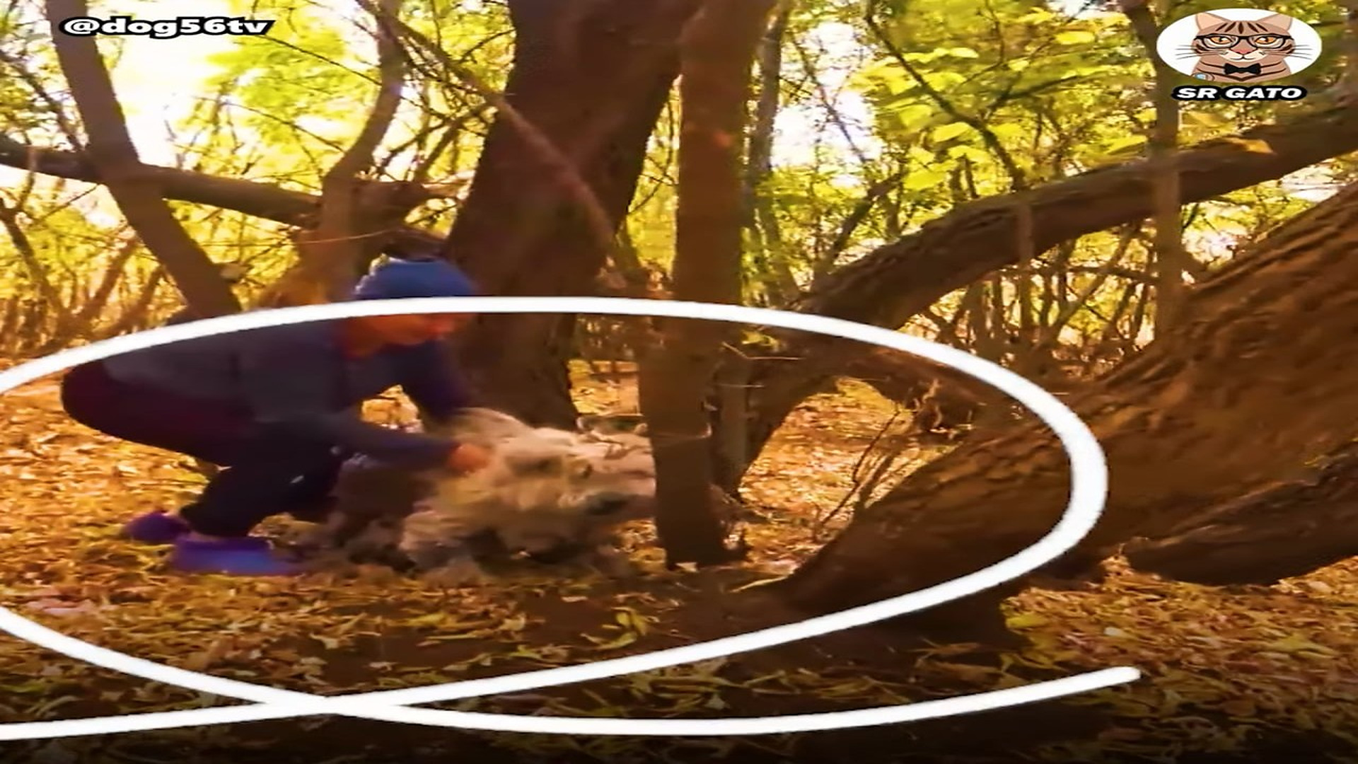 Full Video : H1807017_En medio del BOSQUE quedo SOLO