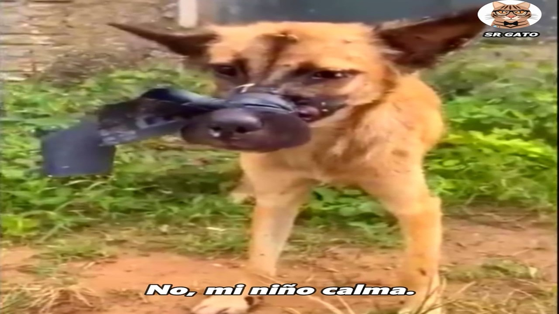 Full Video : H1807029_No quiere Confiar en Nadie, Después de ESTO