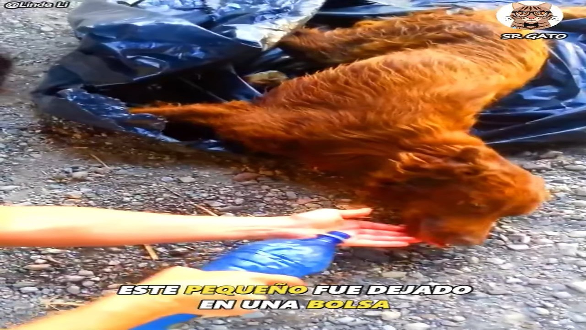 Full Video : H1807022_Que Difícil es Creer en las Personas.